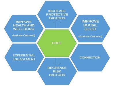 The Drug Rehabilitation Process